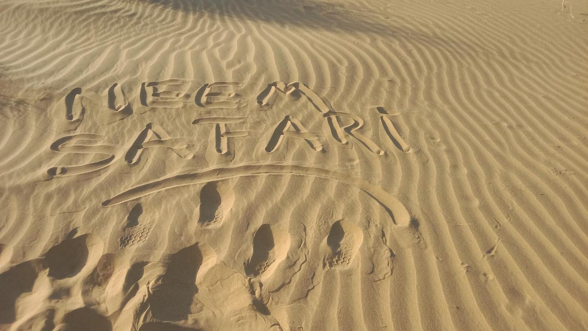 Neem Guest House Jaisalmer Rum bild